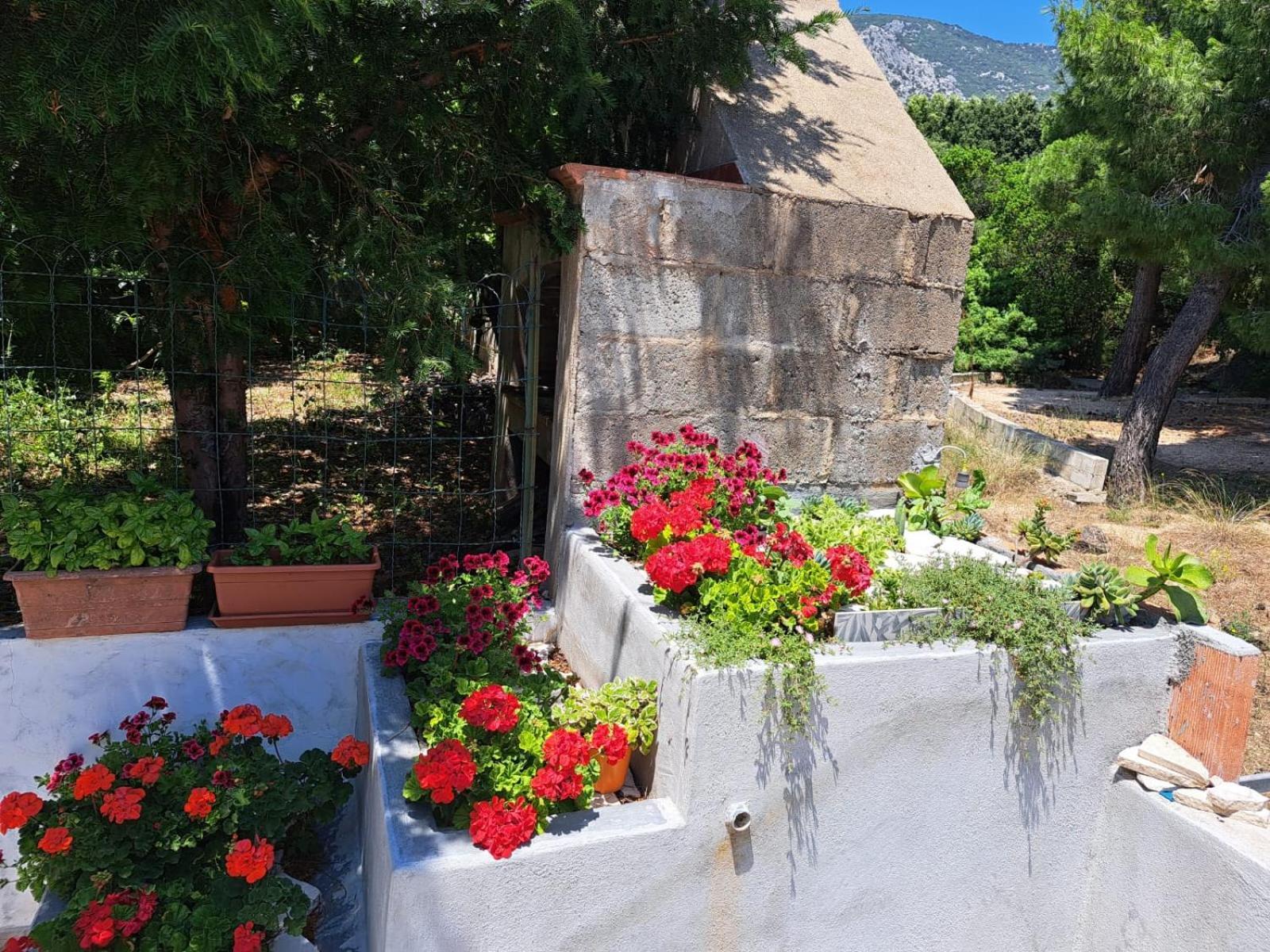 Domus De Mare Cala Gonone Exterior foto